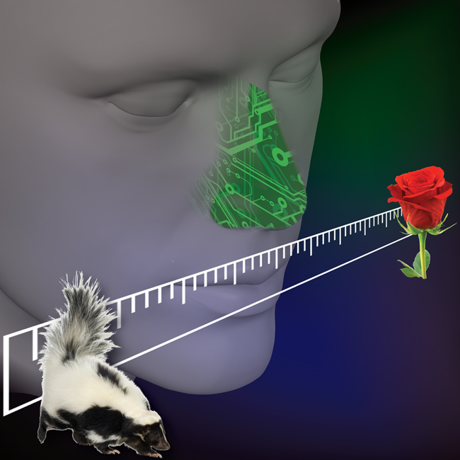  Chronic Obstructive Pulmonary Disease Detection Through E-Nose & Breath Analysis