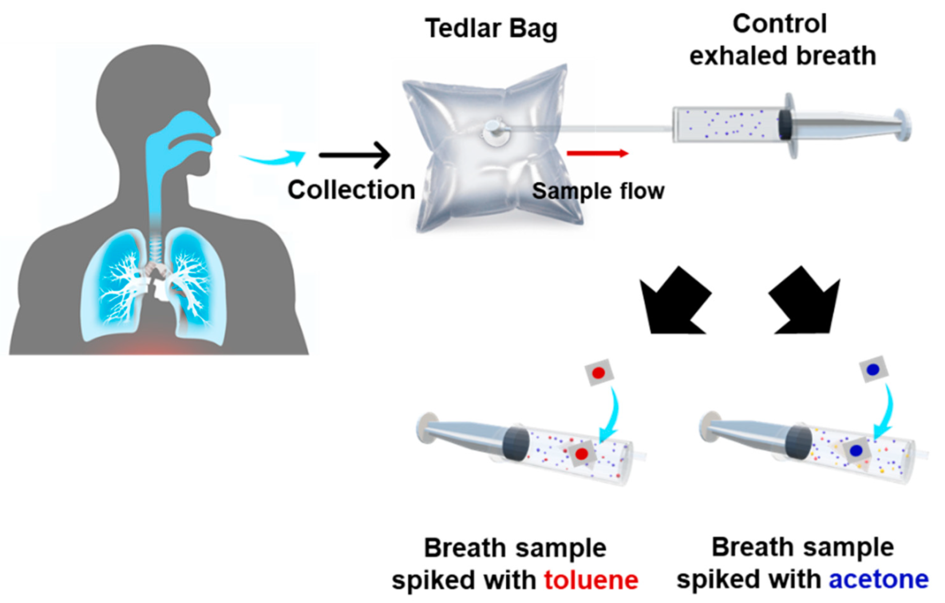 multi-odor-discrimination-by-rat-sniffing-for-potential-monitoring-of